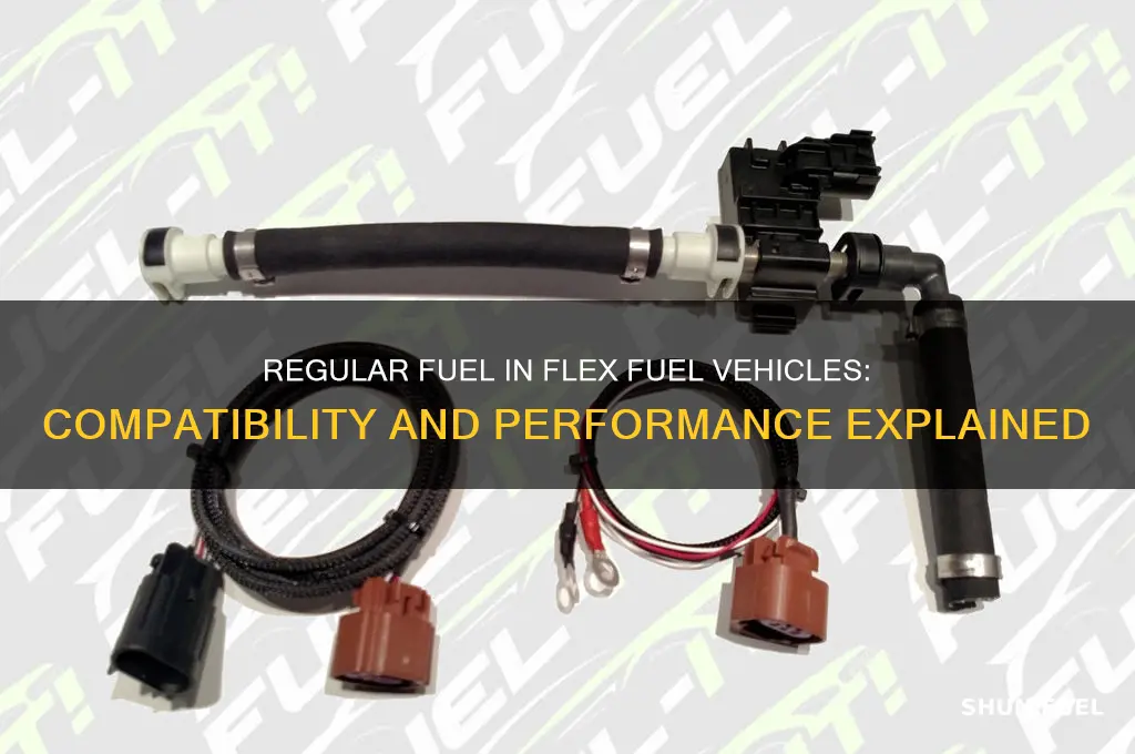 can you run regular fuel in a flex fuel vehichle