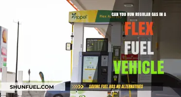 Running Regular Gas in Flex Fuel Vehicles: What You Need to Know