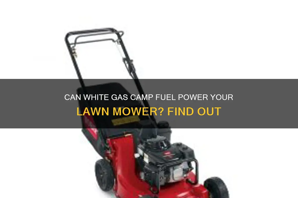 can you run white gas camp fuel in lawn mower