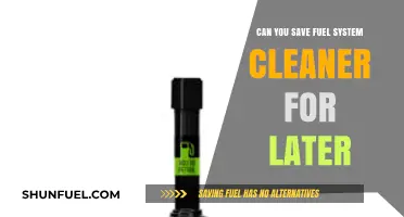 Should You Save Fuel System Cleaner for Later? Expert Tips