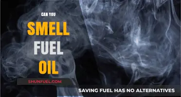 Can You Smell Fuel Oil? Identifying Odors and Potential Risks