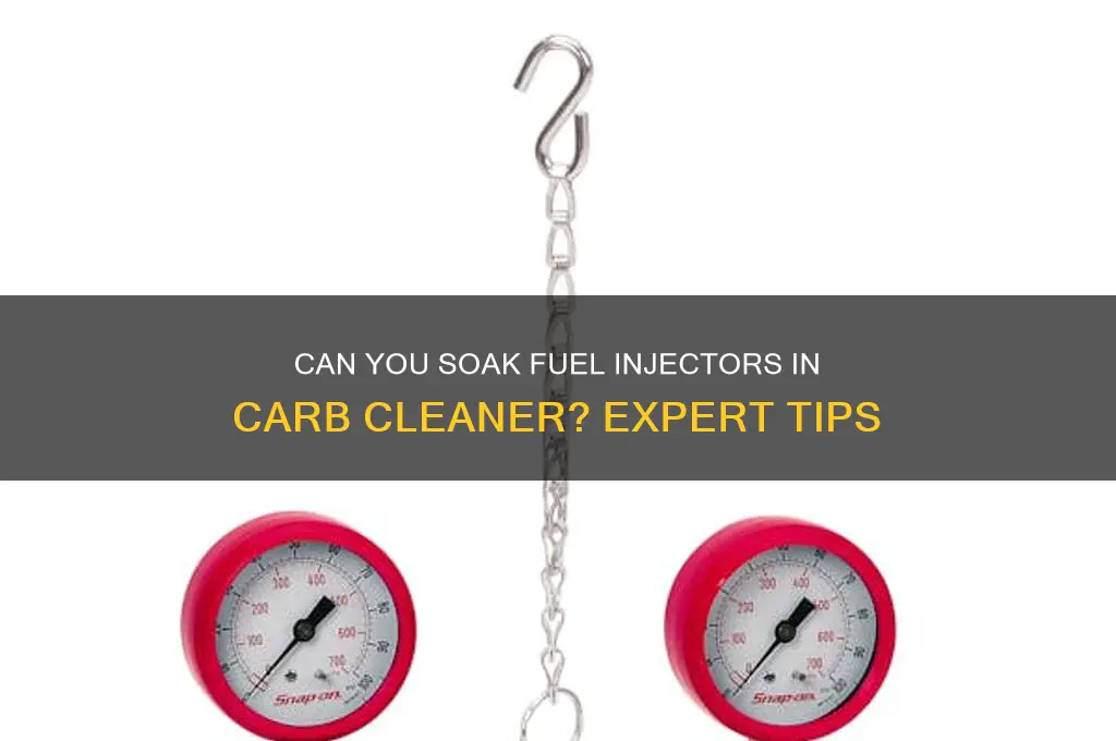 can you soak fuel injectors in carb cleaner