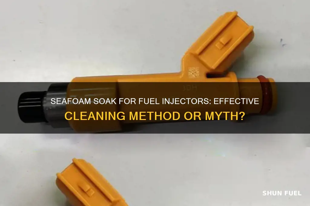 can you soak fuel injectors in seafoam