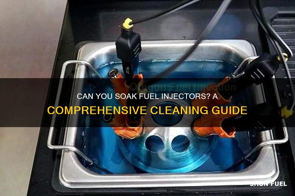 can you soak fuel injectors