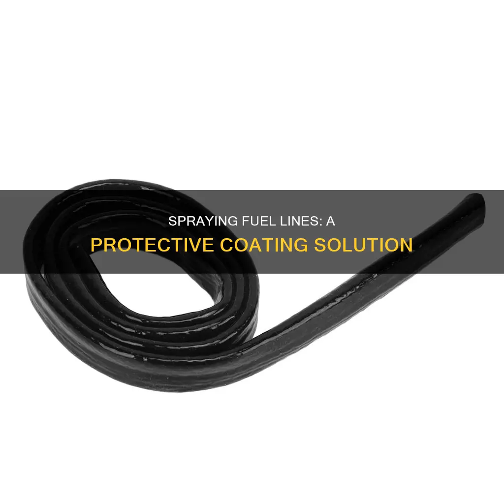 can you spray fuel lines with protective coating