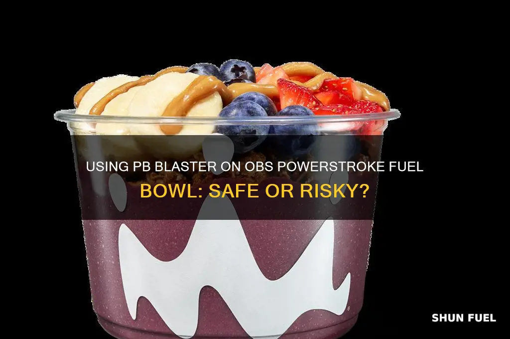 can you spray pb blaster in obs powerstroke fuel bowl