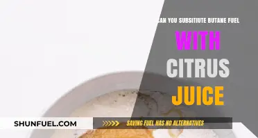 Citrus Juice as Butane Fuel Substitute: Exploring Alternative Energy Options