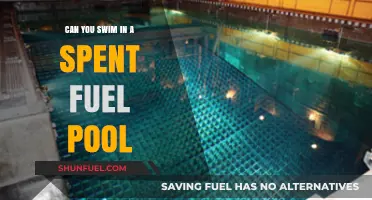 Swimming in a Spent Fuel Pool: Safe or Deadly?