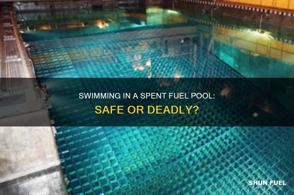 can you swim in a spent fuel pool