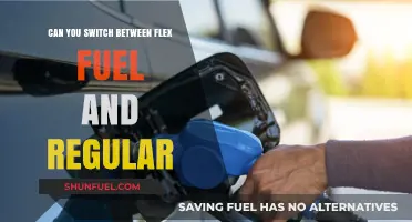 Flex Fuel vs. Regular Gas: Can You Switch Between the Two?