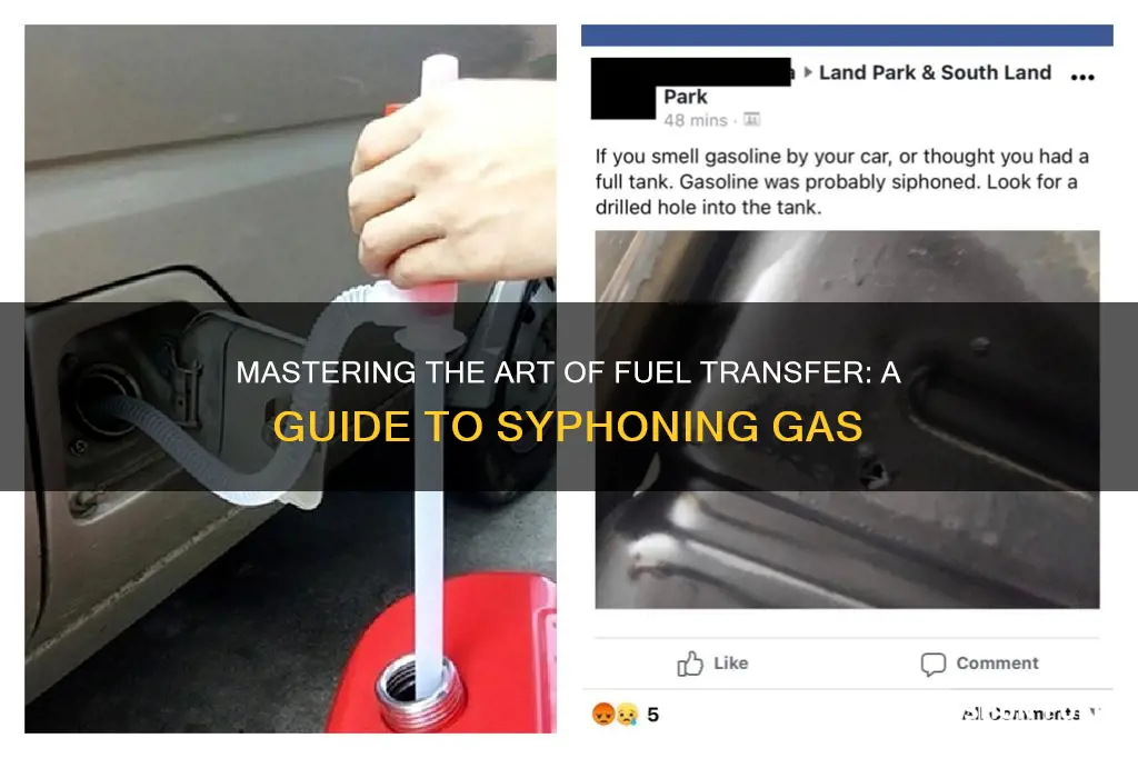 can you syphon fuel from a car