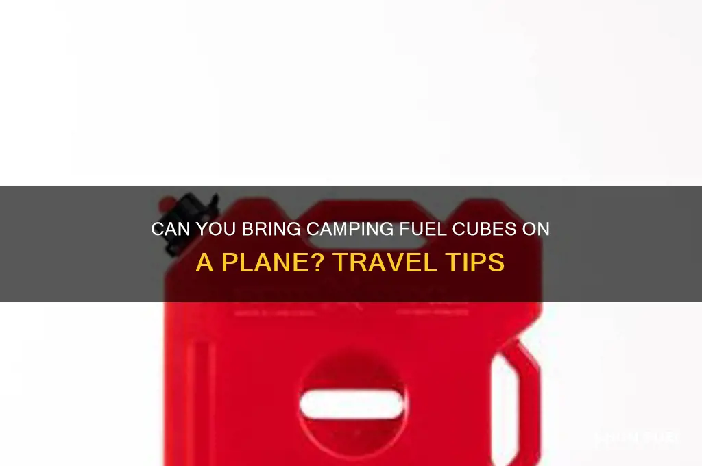 can you take camping fuel cube on plane