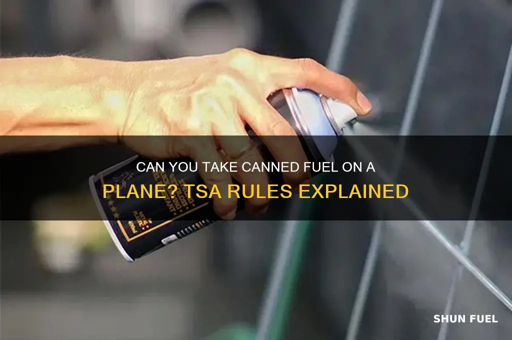can you take canned fuel on a plane