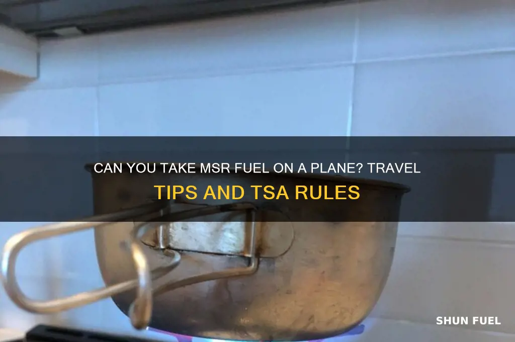 can you take msr fuel on a plane