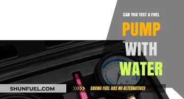 Testing Fuel Pumps with Water: Safe Practice or Risky Experiment?