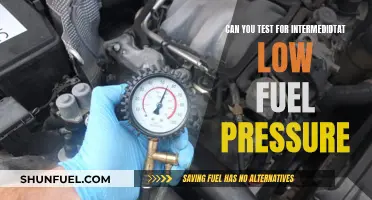 Testing Fuel Pressure: Can You Check Intermediate Levels?