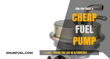 Cheap Fuel Pumps: Reliable Bargain or Costly Mistake?