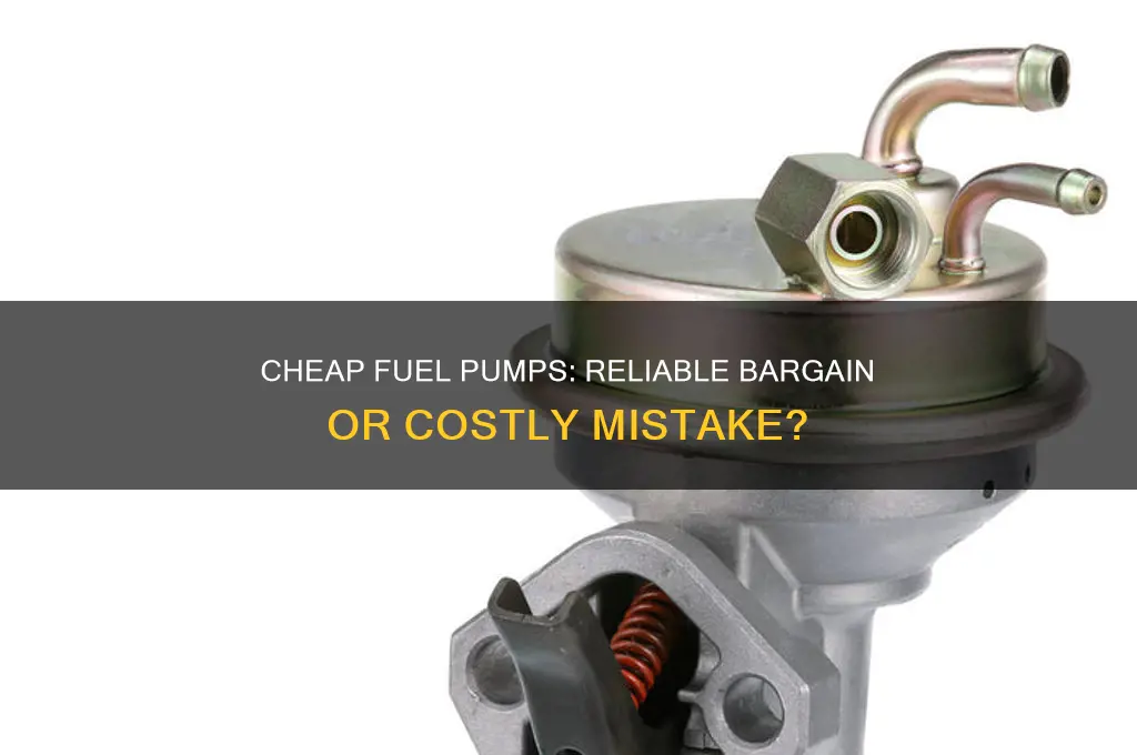 can you trust a cheap fuel pump