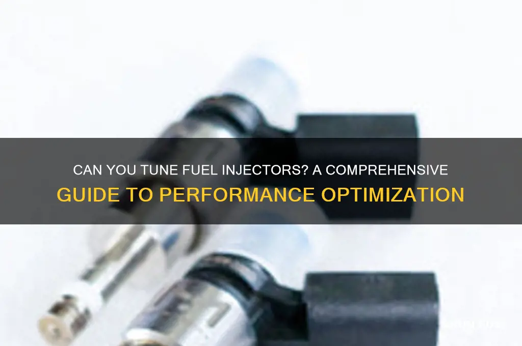 can you tune fuel injectors
