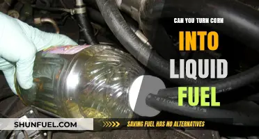 Turning Corn into Liquid Fuel: A Sustainable Energy Alternative