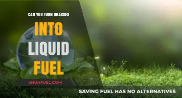 Transforming Grasses into Liquid Fuel: A Sustainable Energy Revolution