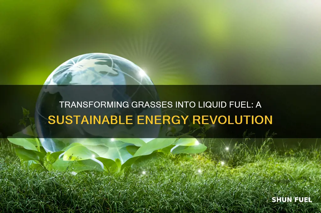 can you turn grasses into liquid fuel