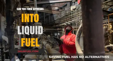 Transforming Soybeans into Liquid Fuel: A Sustainable Energy Alternative