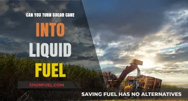 Transforming Sugar Cane into Liquid Fuel: A Sustainable Energy Solution
