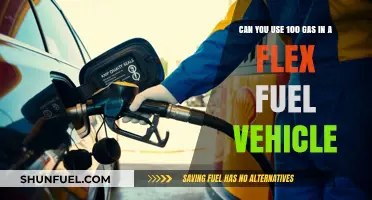 Flex Fuel Vehicles: Can You Safely Use 100% Gasoline?