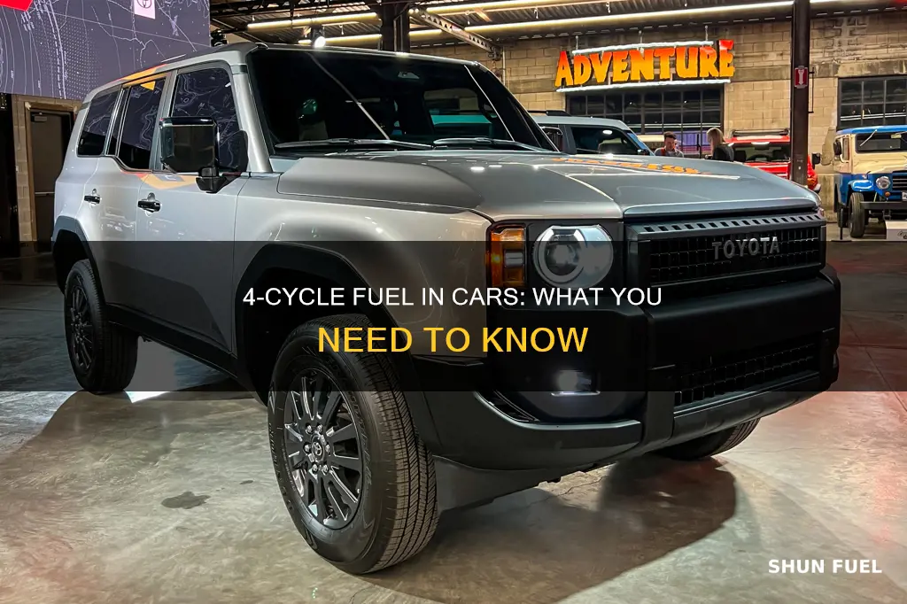 can you use 4 cycle fuel in a car