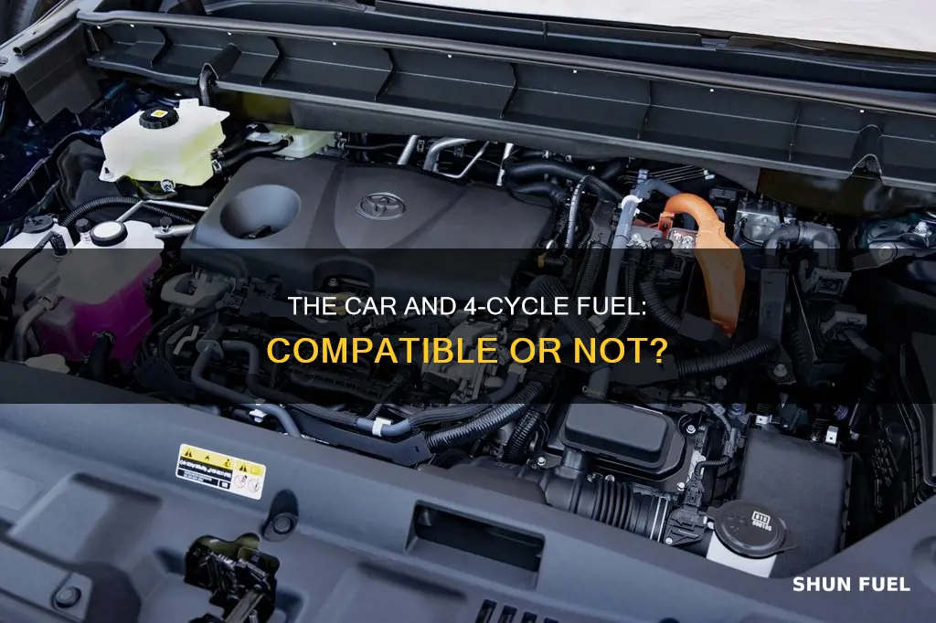 can you use 4 cycle fuel in a car