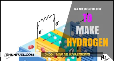 Using Fuel Cells to Generate Hydrogen: Possibilities and Practicalities