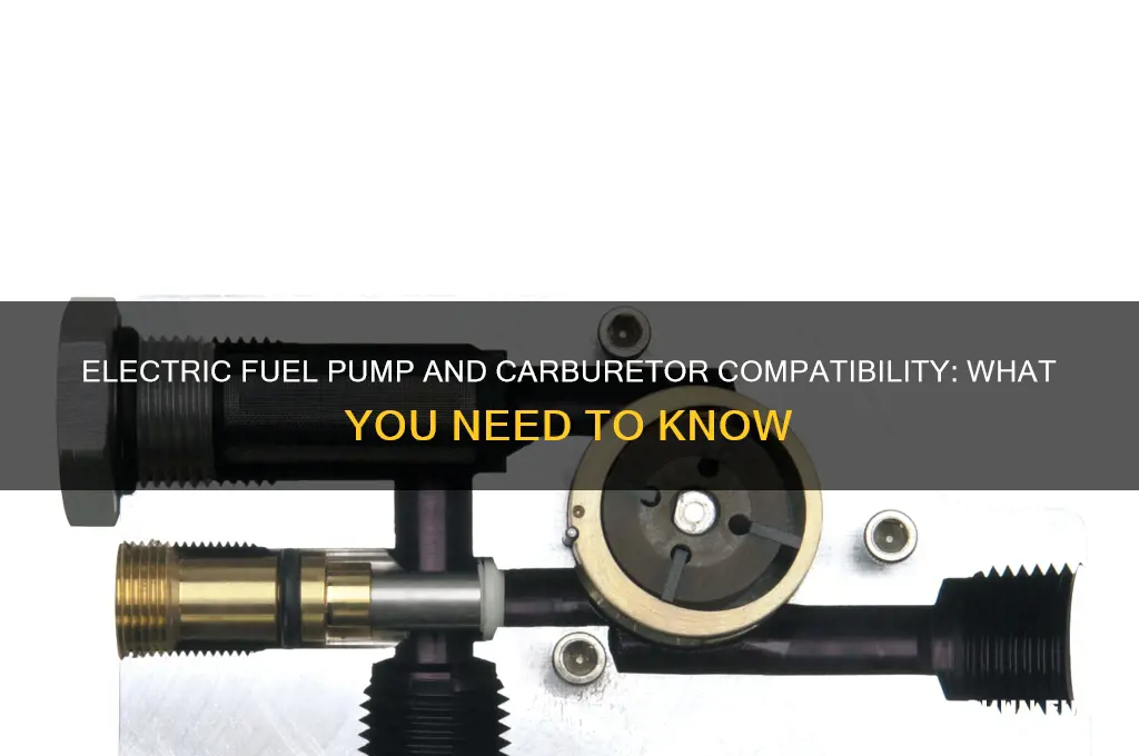 can you use an electric fuel pump with a carburetor