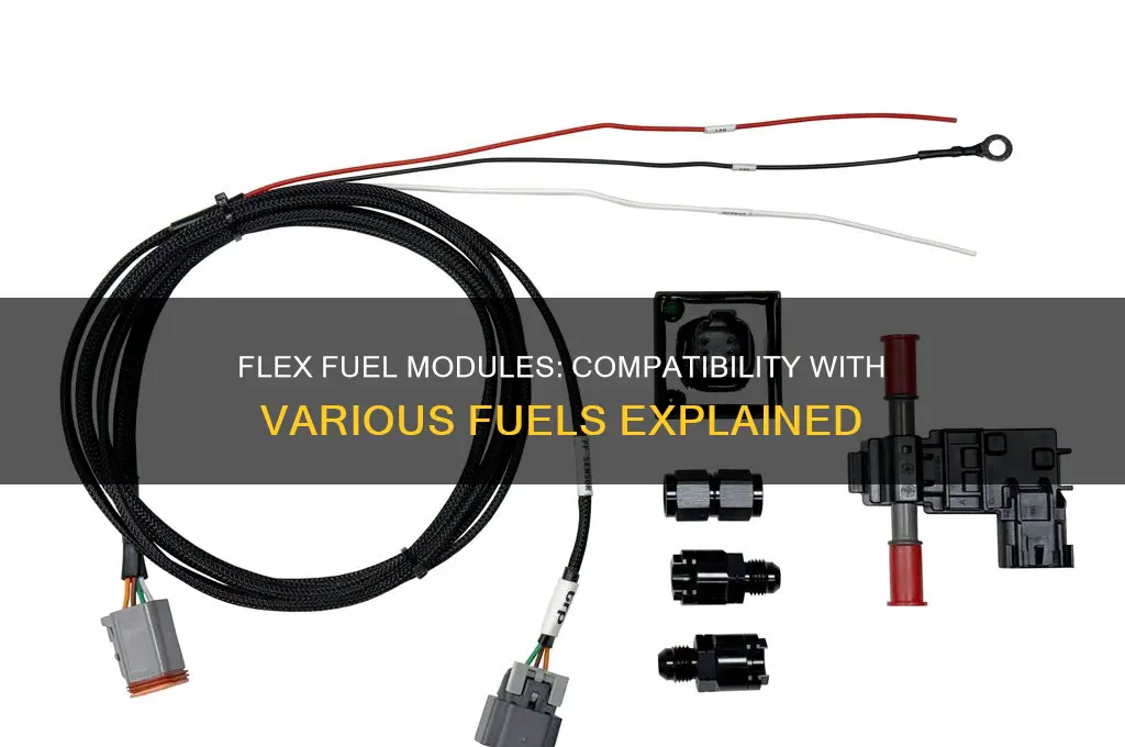 can you use any fuel module flex fuel