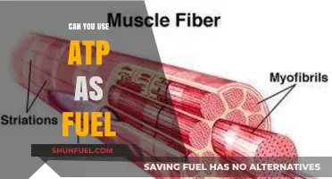 ATP as Fuel: Unlocking Energy Potential in Human Biology