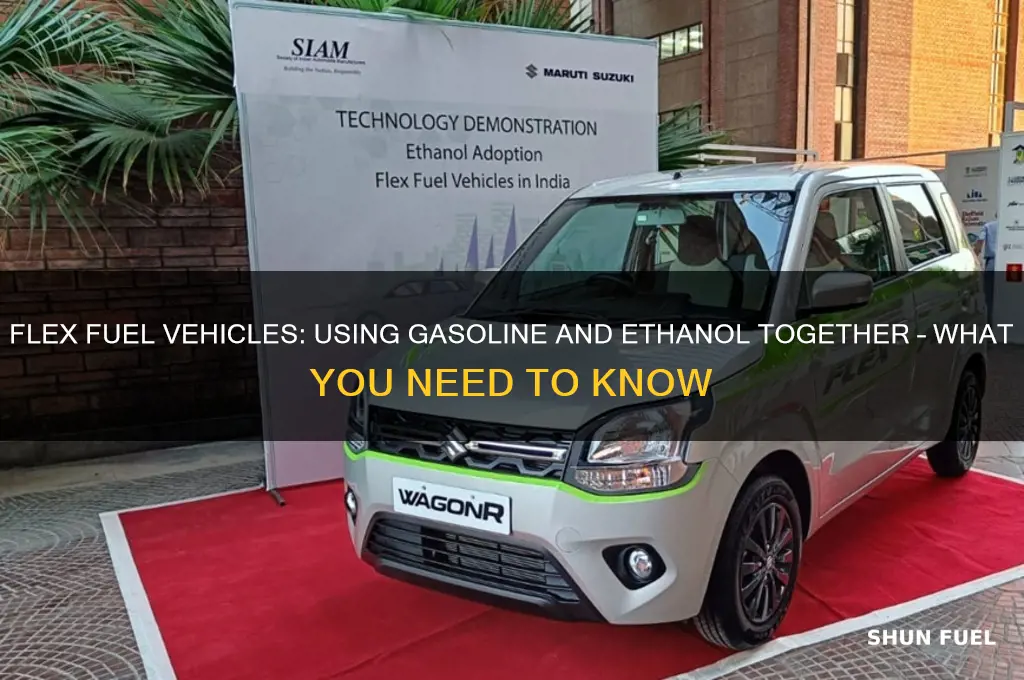 can you use both fuels in flex fuel vehicles