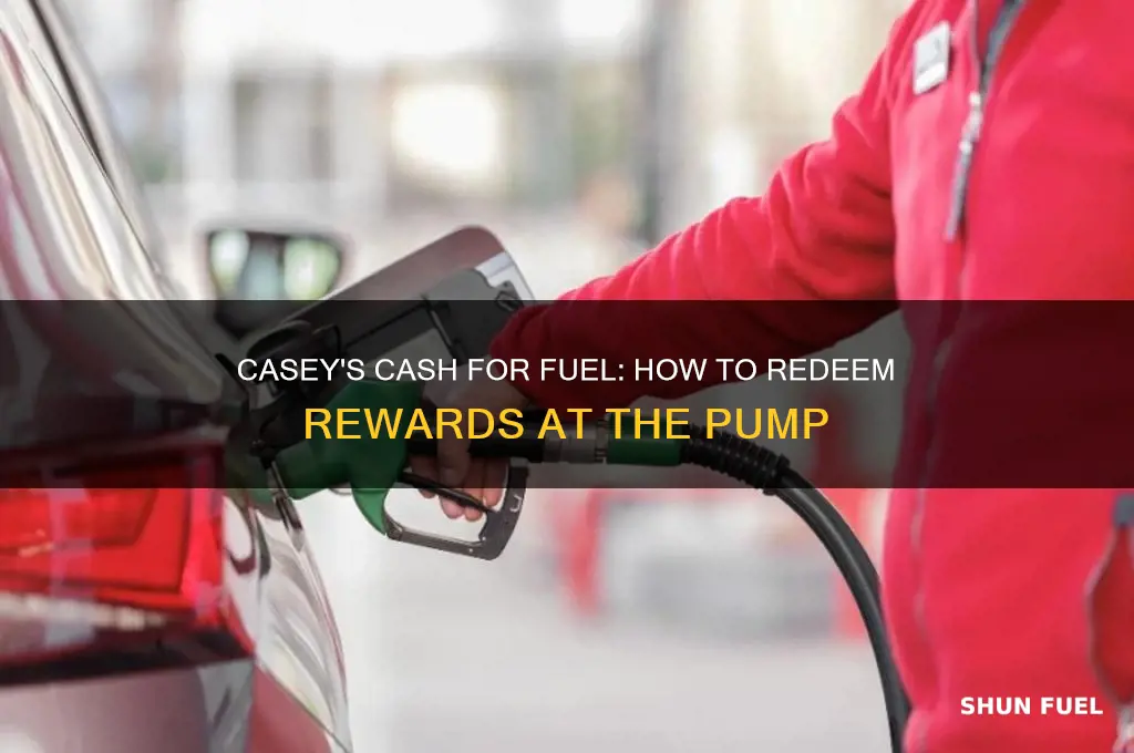 can you use casey
