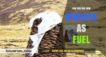 Cow Manure as Fuel: A Sustainable Energy Alternative Explored