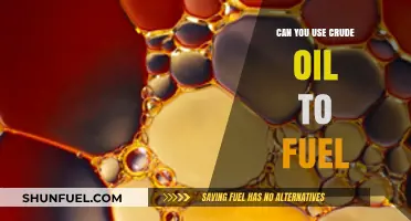 Can Crude Oil Directly Fuel Vehicles and Power Plants?