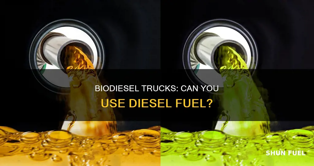 can you use diesel fuel in a bio diesel truck