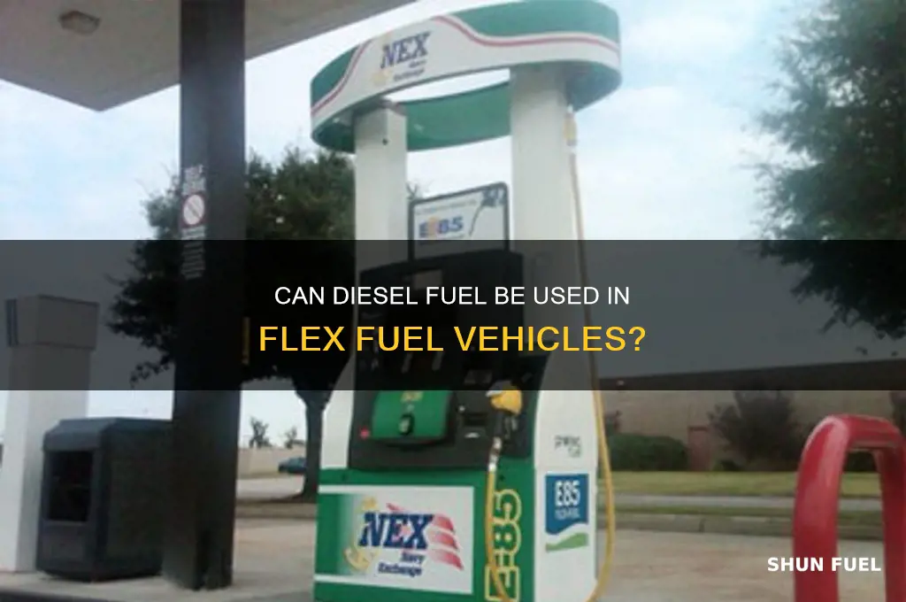 can you use diesel fuel in a flex fuel