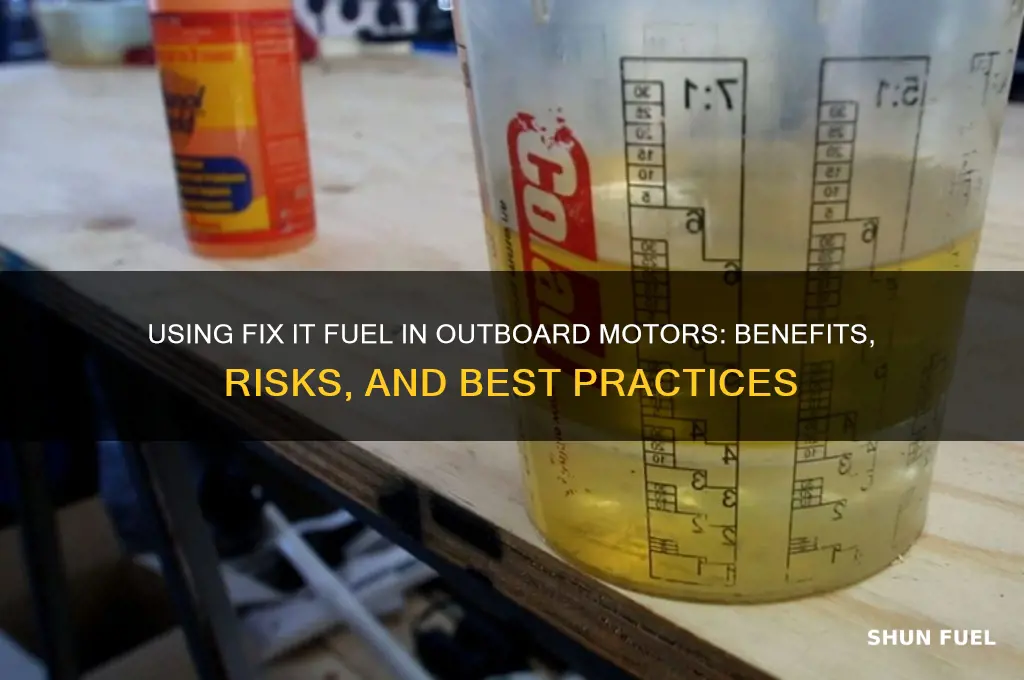 can you use fix it fuel in outboard motor