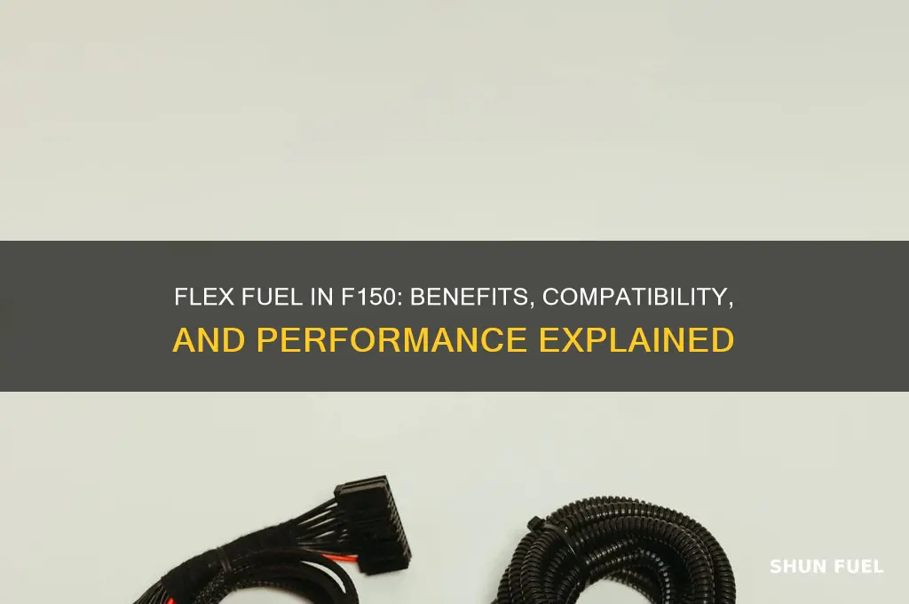 can you use flex fuel in a f150