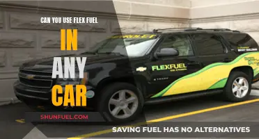 Flex Fuel: Universal Compatibility or Limited Use?