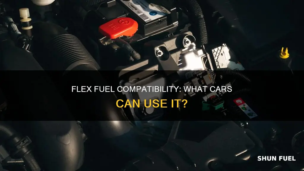 can you use flex fuel in any car