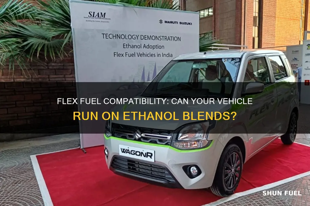 can you use flex fuel