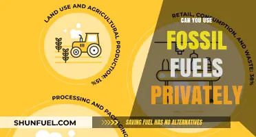 Fossil Fuels: Private Use and the Law