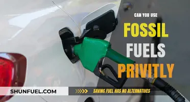 Private Fossil Fuel Use: Legal, Ethical, and Environmental Considerations Explored