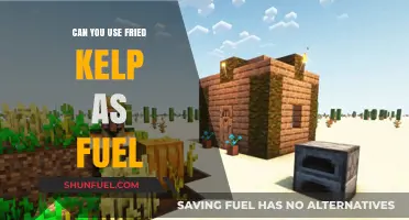 Fried Kelp as Fuel: Exploring Sustainable Energy Alternatives