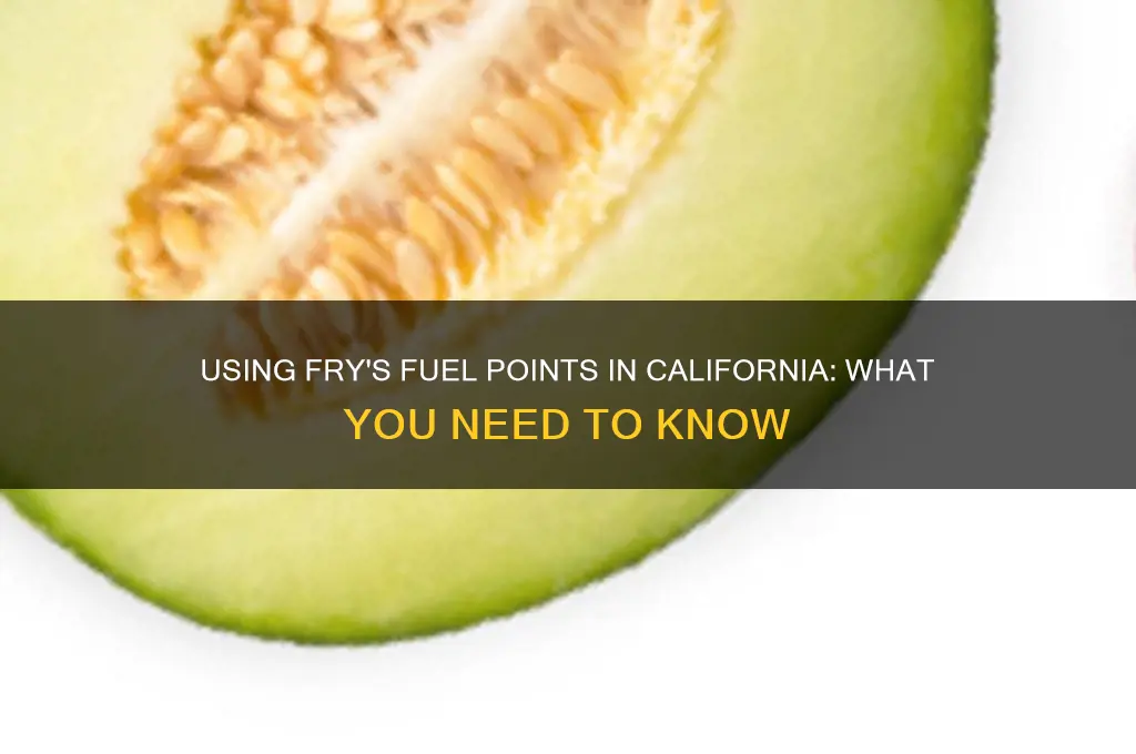 can you use fry